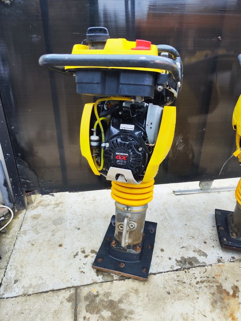 Mai compactor Bomag BT 65 2022 2023