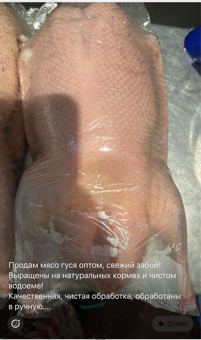 Продам мясо домашнего гуся