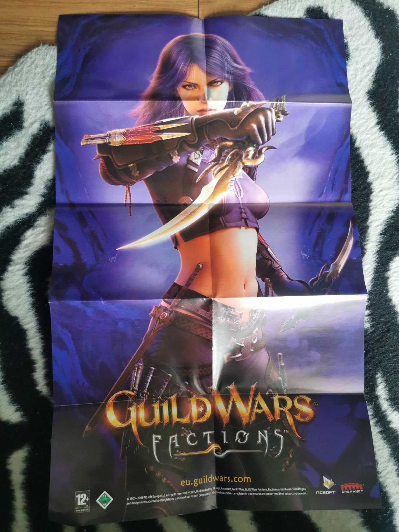 Poster GuildWars de colectie