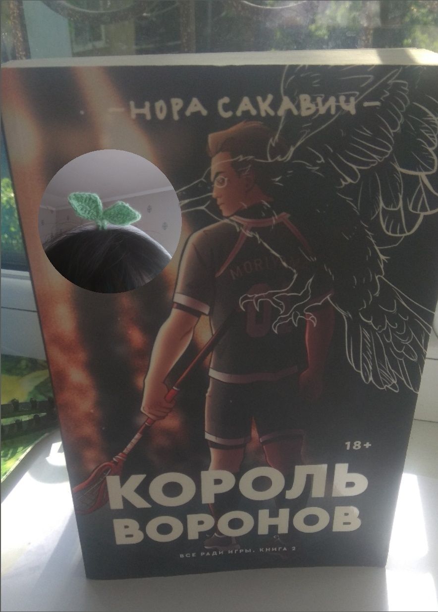 Книга "Король Воронов"