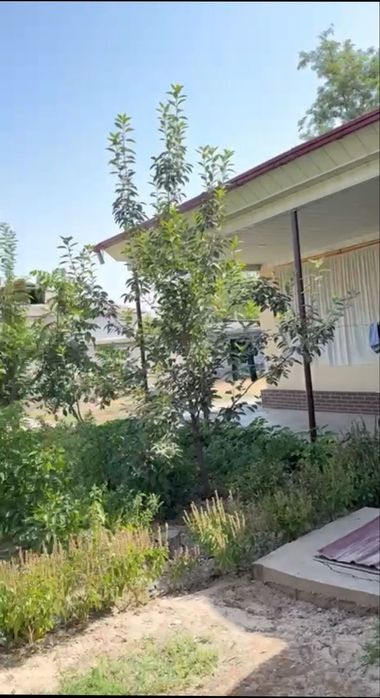 Продаётся земельный участок в Янги базаре