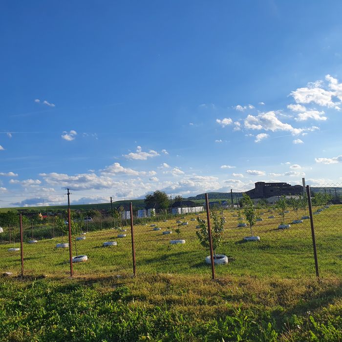 Vând urgent teren intravilan