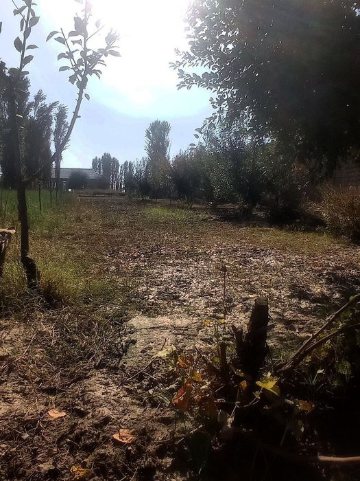 Алимкентда участка сотилади Срочно