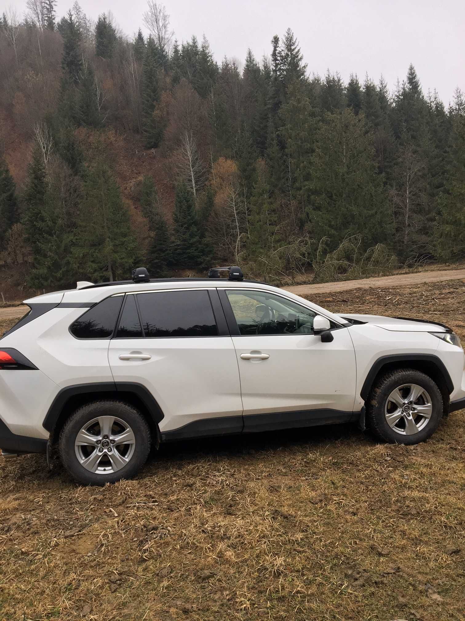 2019 Toyota Rav4  2.0 L Benzina, AWD, Garantie Toyota  200,000 km