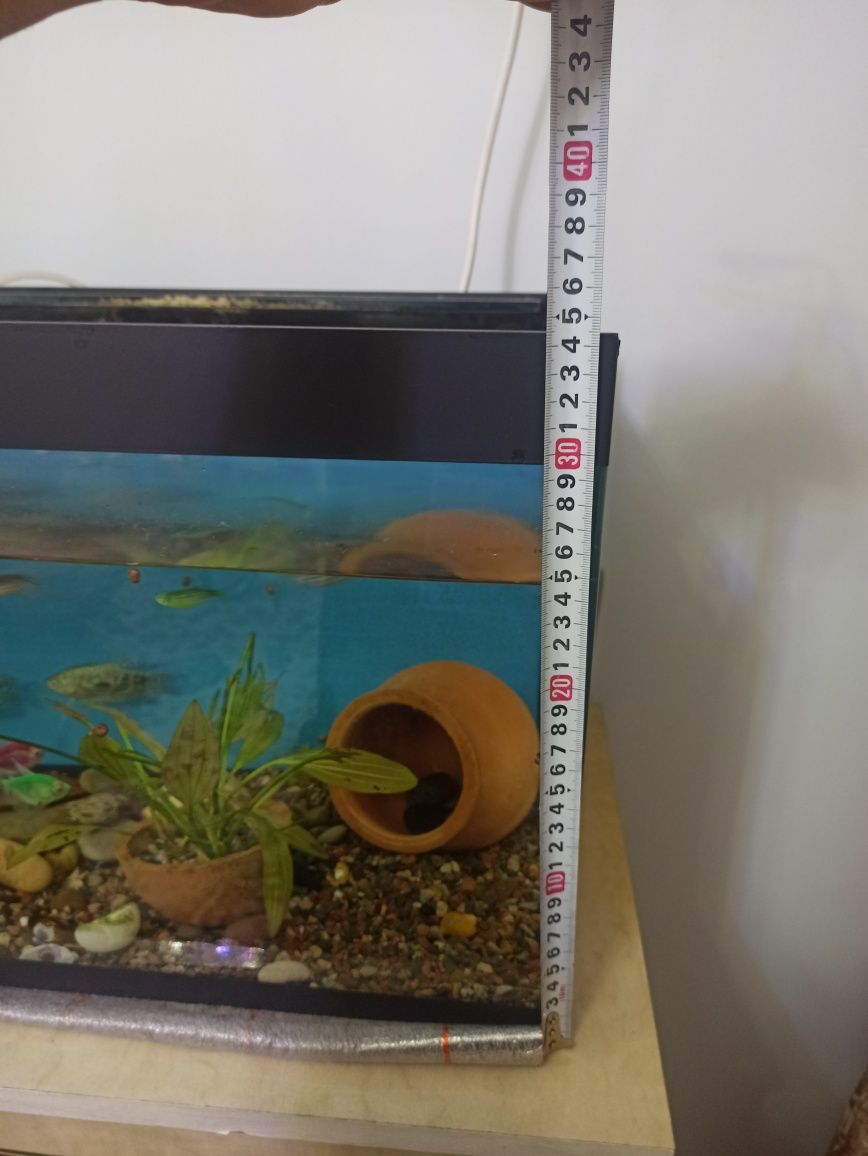 Akvarium sotiladi 50 Litr 6 mm