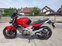 Suzuki sfv650 gladius