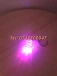 Promotie Breloc Sticla Led 6 Culori Nissan
