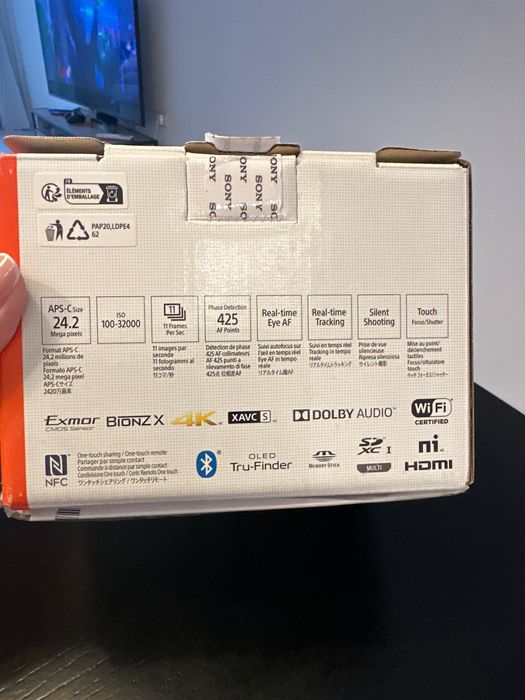 Sony a6100 E PZ 16-50mm F3.5-5.6 OSS