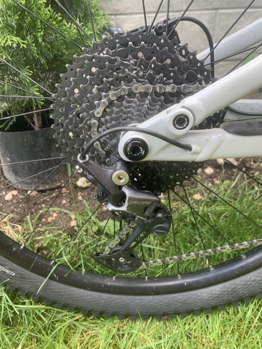 Marin Rift Zone 2024