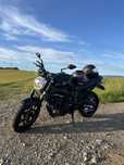 Yamaha Fz 6 Black , Leo Venice , întreținut