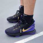 Nike Lebron Witness 5