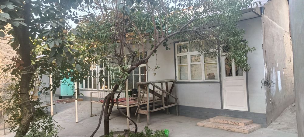 Shaharni jgaridan Afsonani orqasidagi koʻchadagi hovlimz