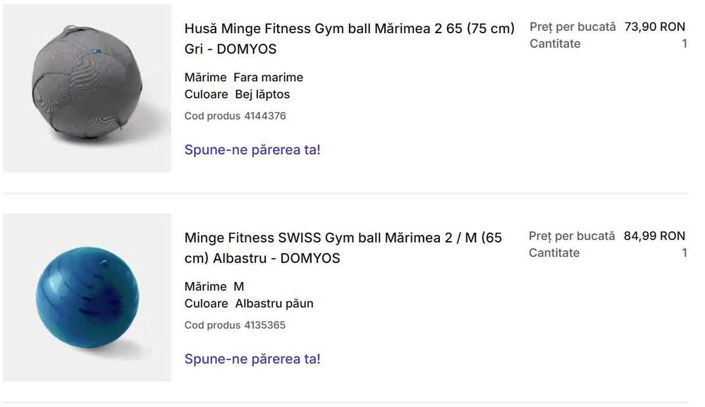 Minge Fitness SWISS Gym ball + Husa, Decathlon