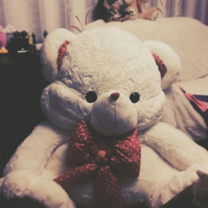 Продам огромного медведя