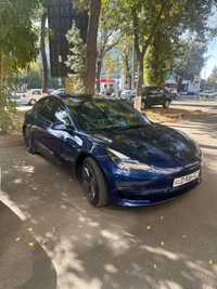 Tesla model 3 standard American