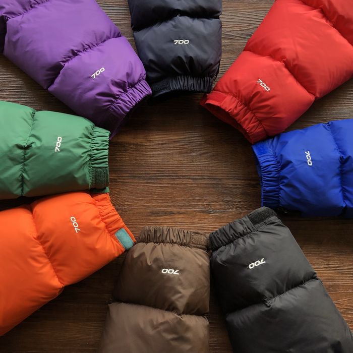 Geaca The North Face