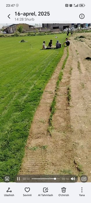 Gazon ekish xizmadlarimizni taklif qilamiz