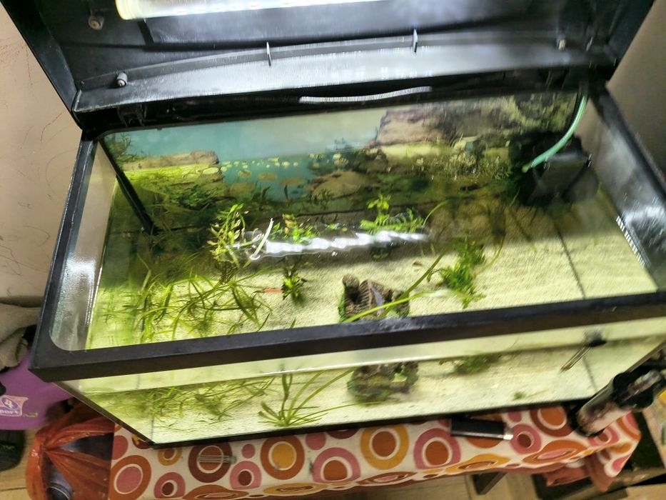 Vând acvariu 54L