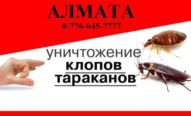 ‼️ Уничтожение мышей крыс тараканов клопов блох ‼️ обработка ‼️ №235