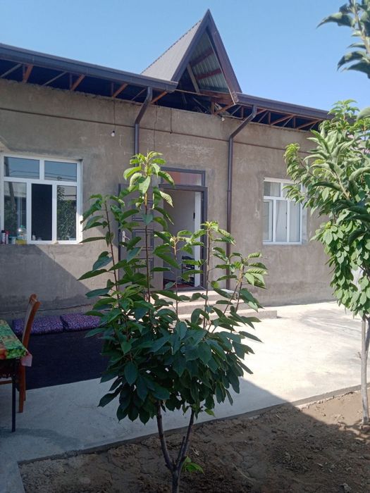 Назарбек участка