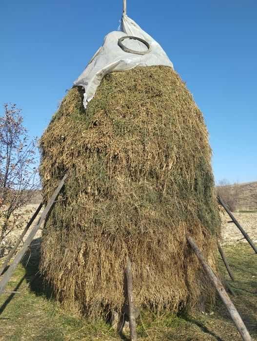 Vând lucernă cu iarbă, semnătură strânsă manual