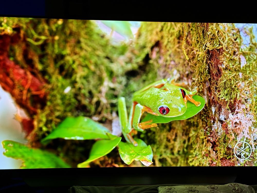 TV OLED 139cm LG