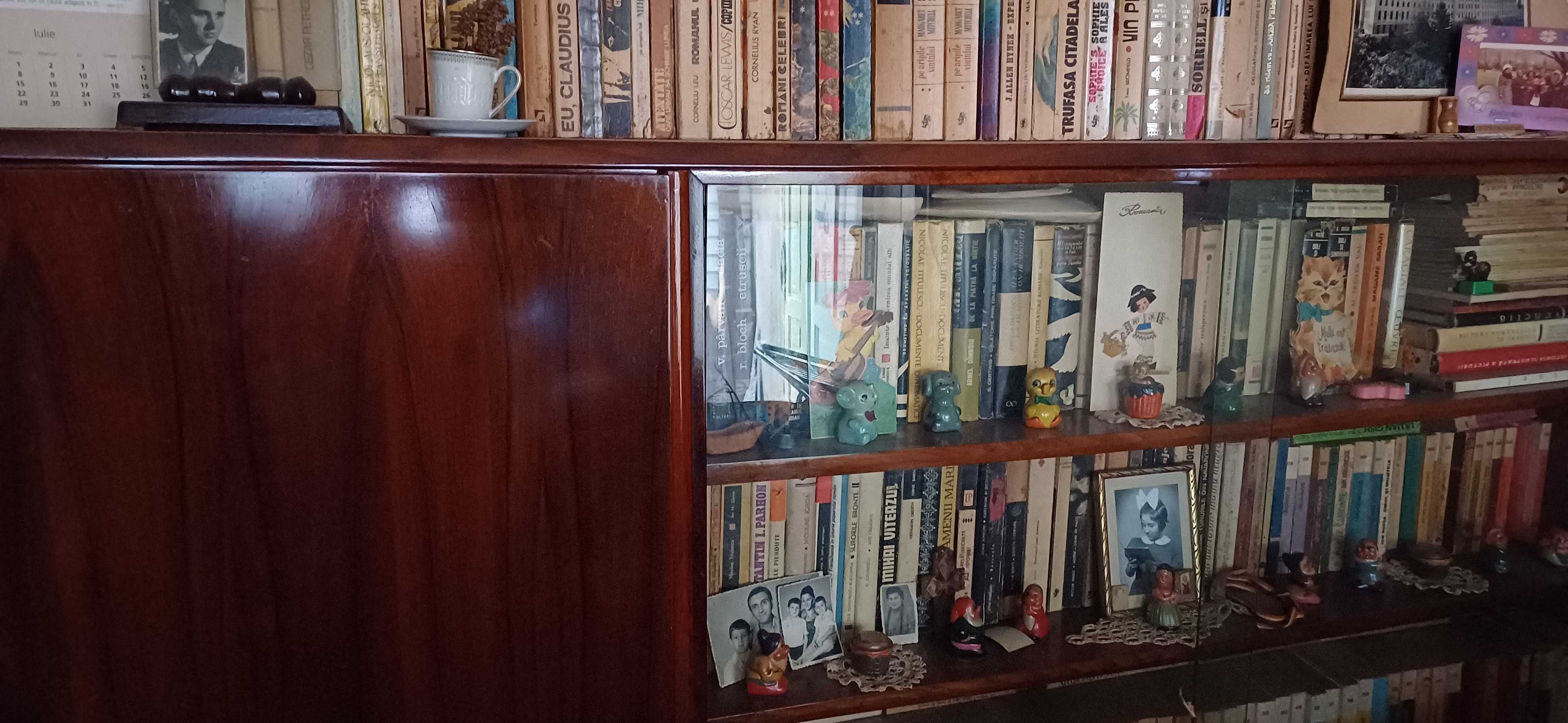Mobila veche si cărți