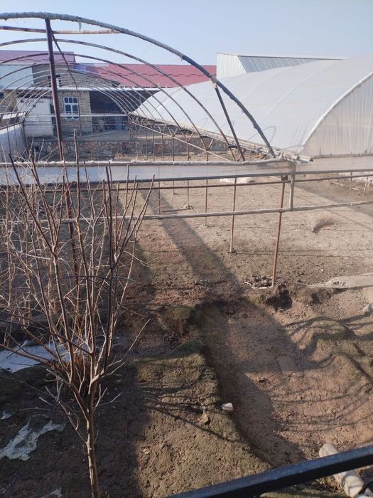 Парник. Иссикхона сотилади 2.60