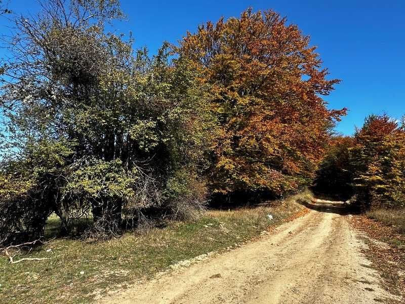 Продава се Земеделски имот в с. Писарово, Област Плевен -  кв.м за 0 €/дка - Снимка #4