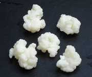 Ciupercă tibetană kefir per linguriță