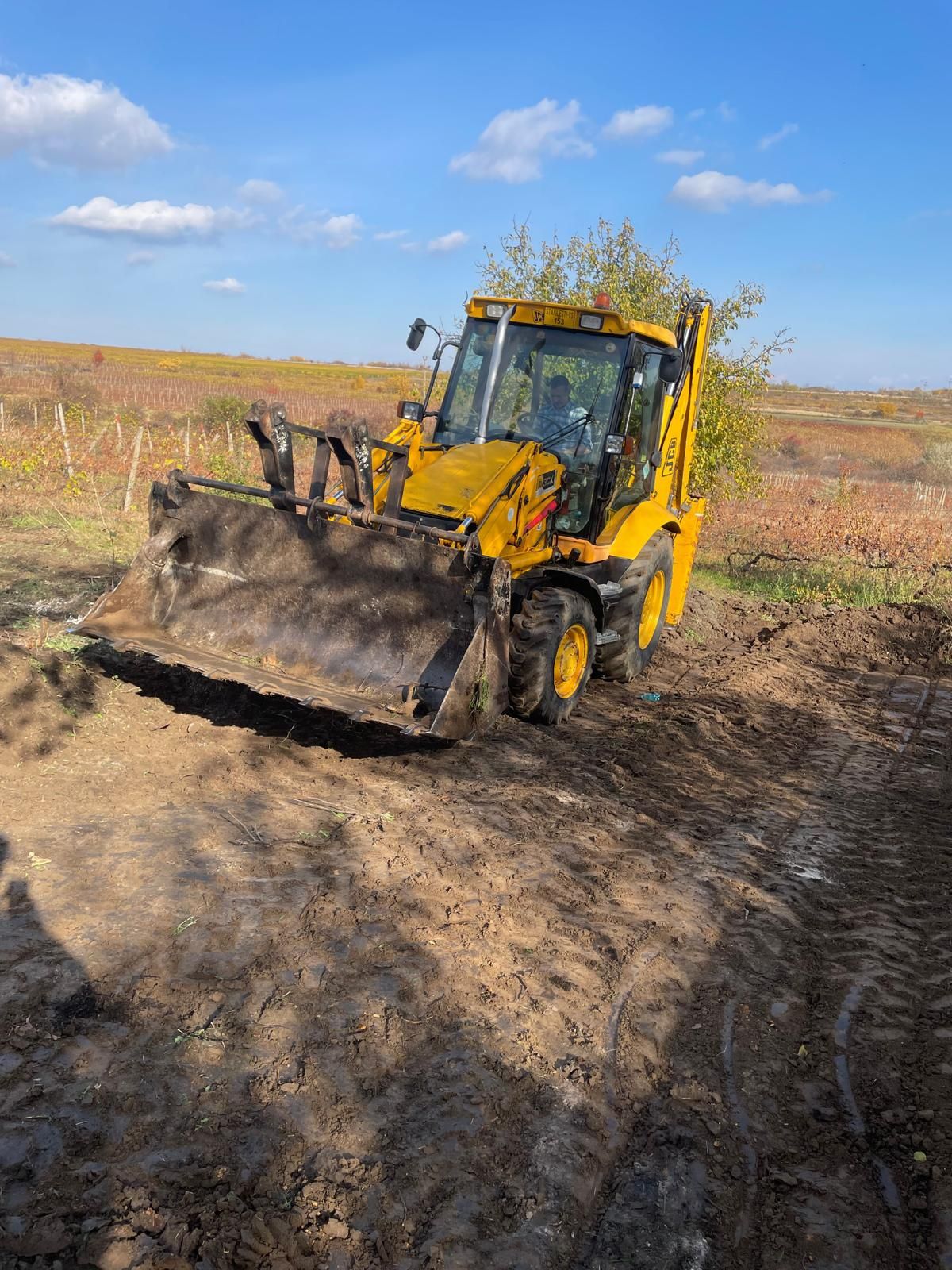 Buldoexcavator Jcb3Cx