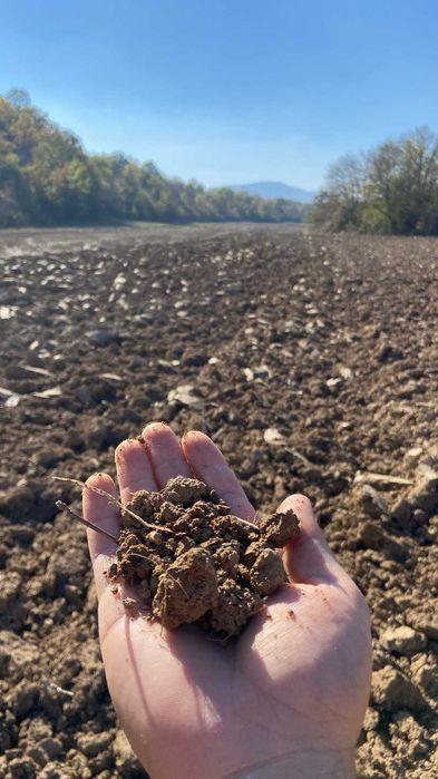 5 Декара Земеделска земя Рента 100 лева