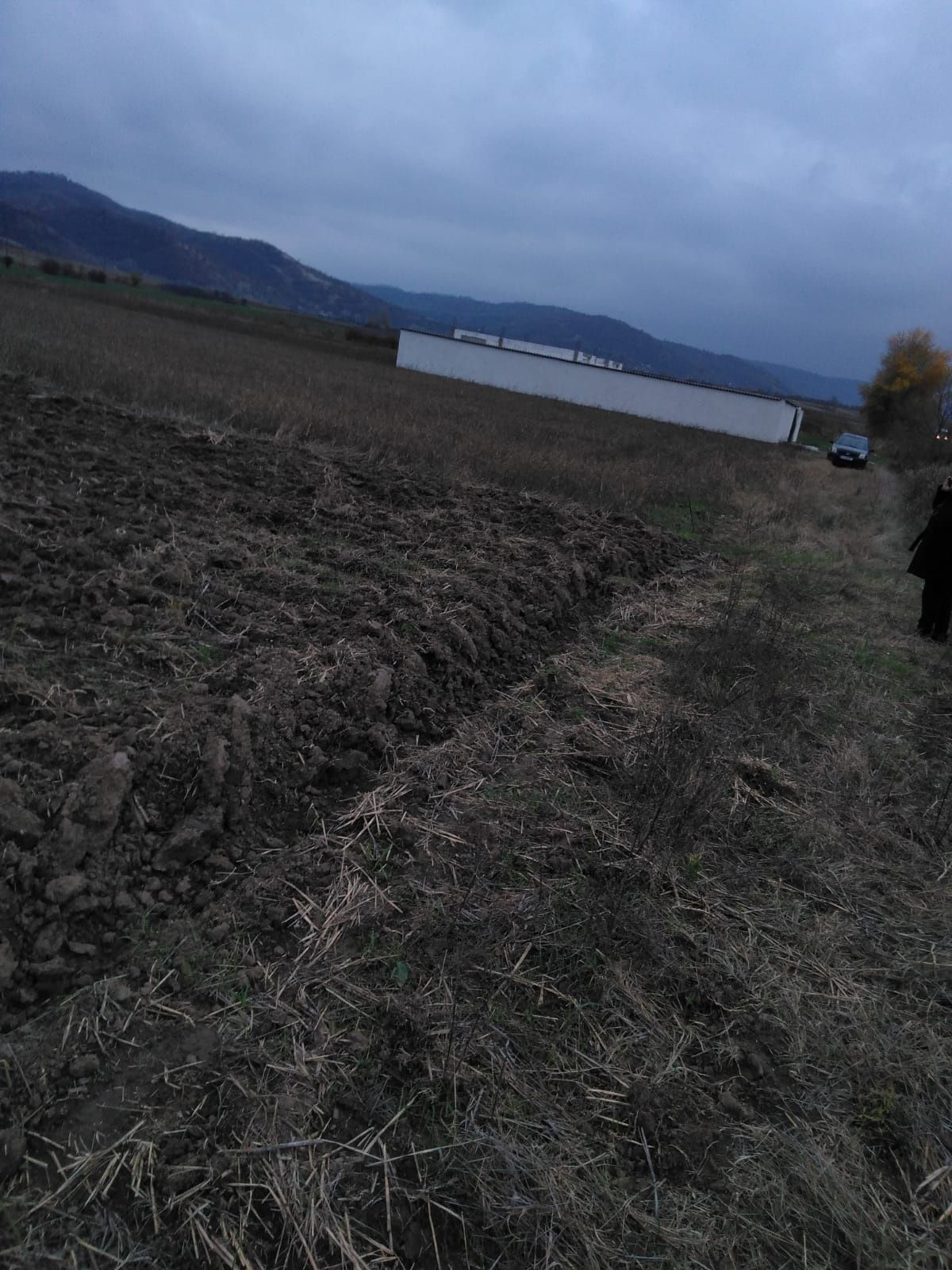 Vând terenuri lângă Dunăre