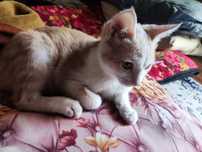 Mushu beraman hadiyaga, yahshi qo'llaga