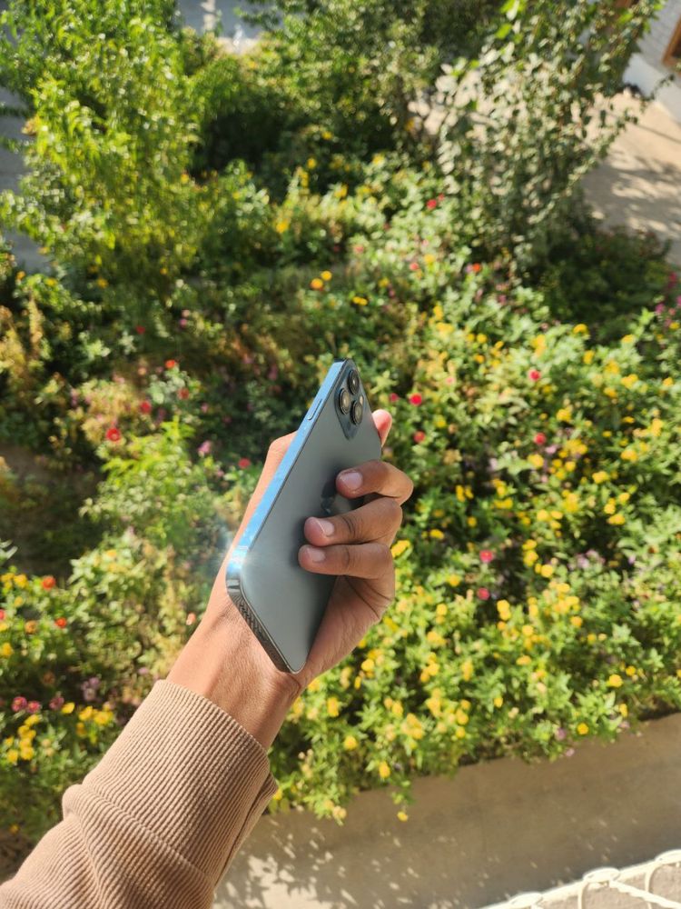 iPhone 12 pro max blue
