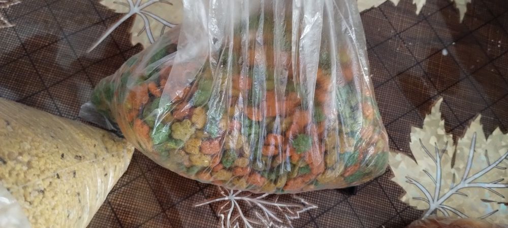 Papagalita micul alexandru