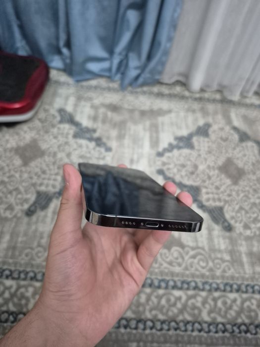 iPhone 12pro max