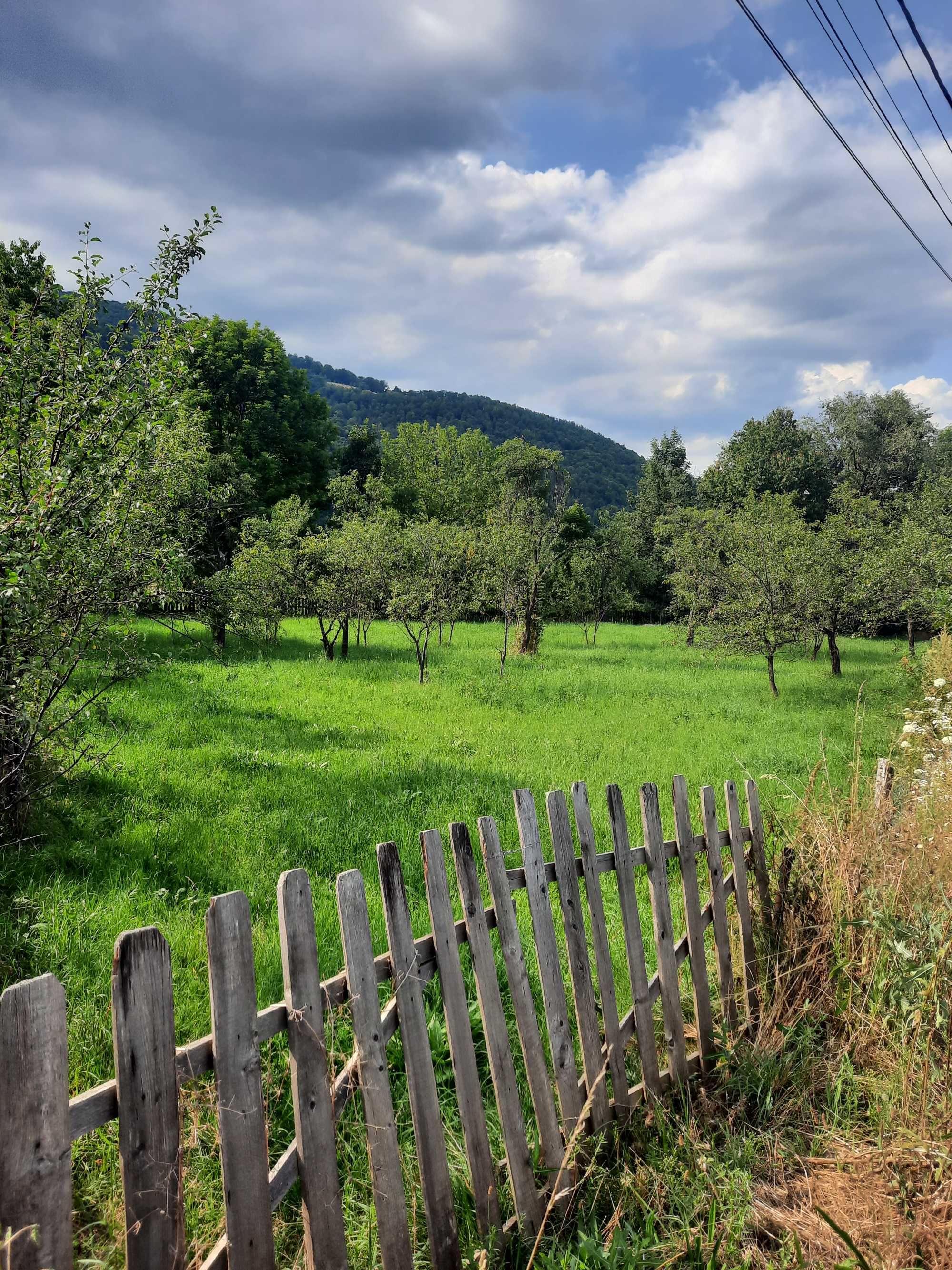 Teren intravilan de vânzare situat în Valea Draganului , jud. Cluj