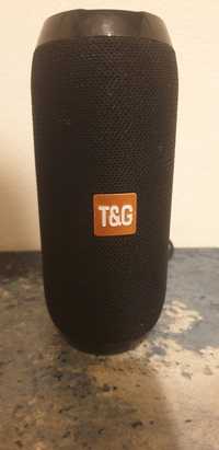 Boxă portabilă T&G