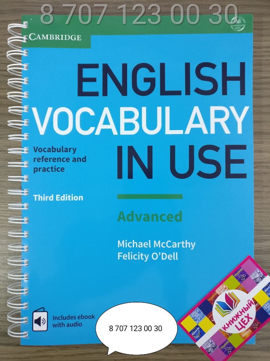 English vocabulary in use все уровни