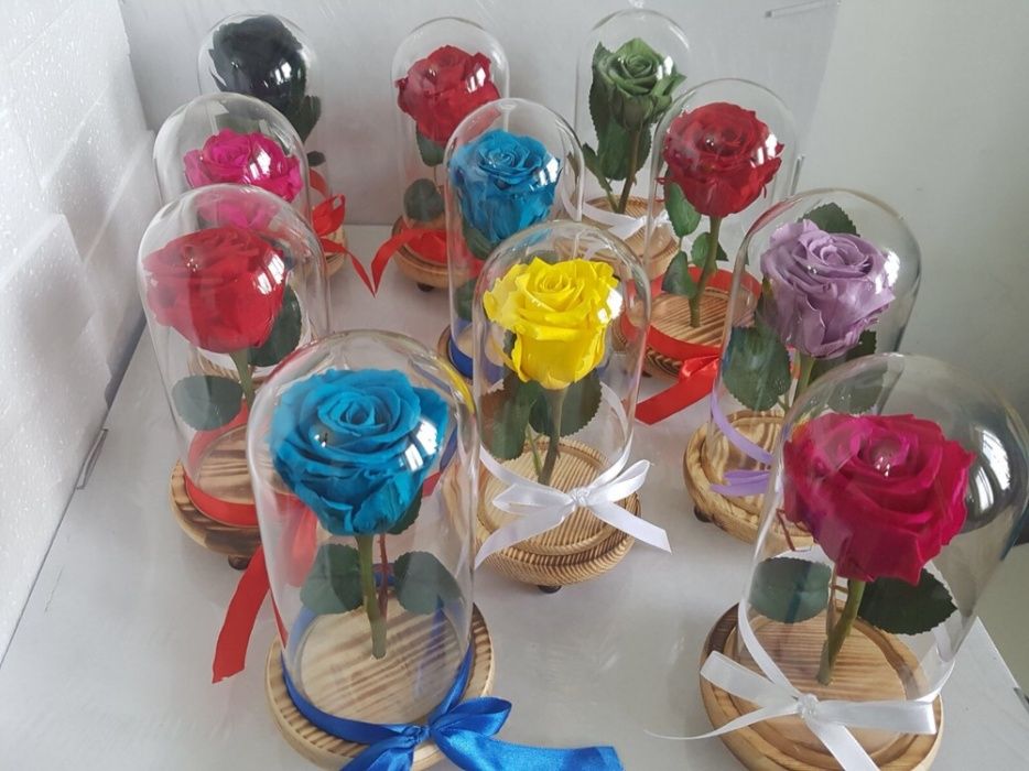 Cadou trandafir criogenat cupola sticla