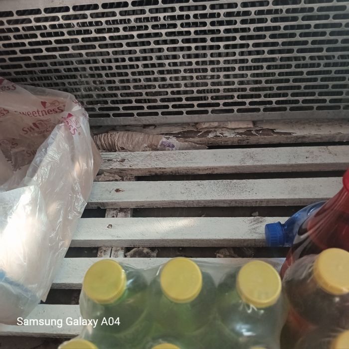 Virina xaladenik zutli bilan dotilafi