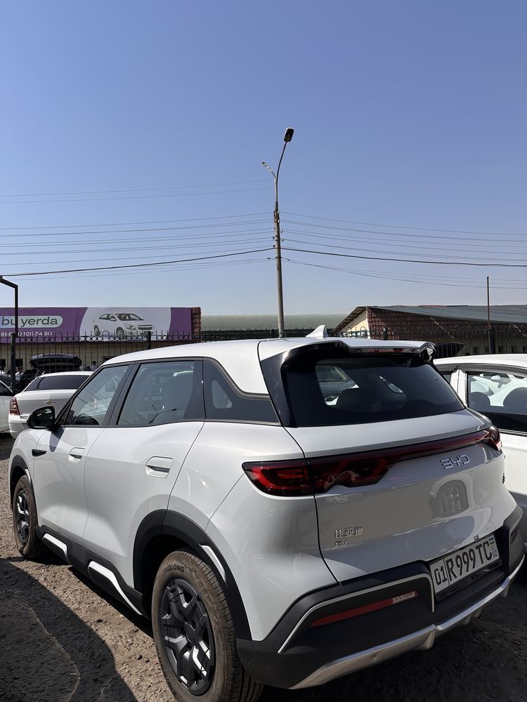 Byd yuan up 2024