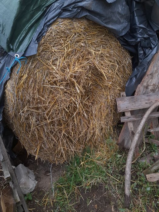 Baloți rotunzi de paie
