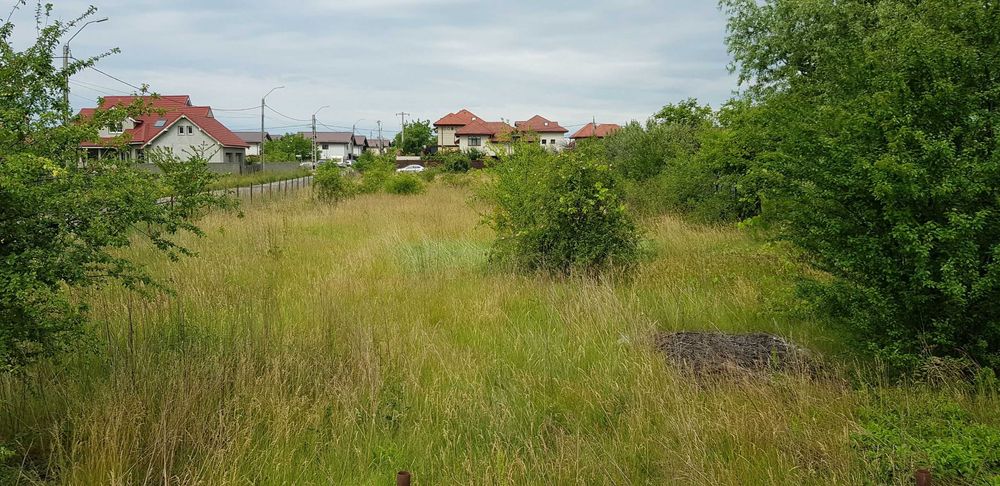 Defrisare cosire si curatare teren de iarba arbusti ambrozie copaci