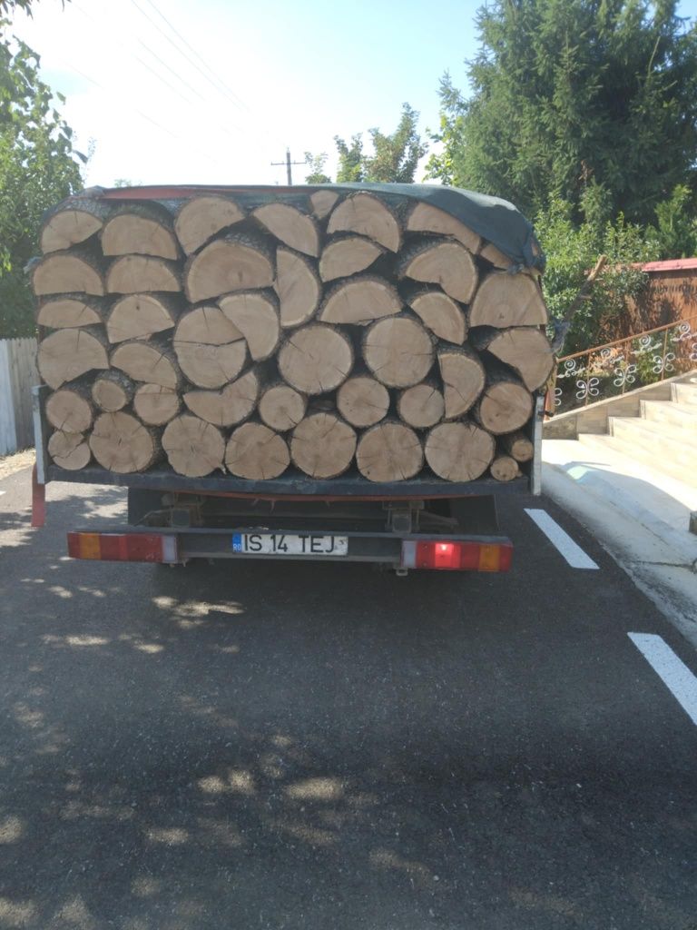 Vând lemne esență tare