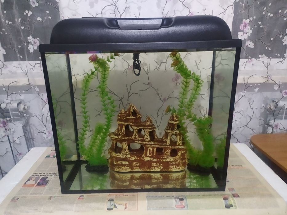 Новый аквариум 60л + бонусы и рыбки.