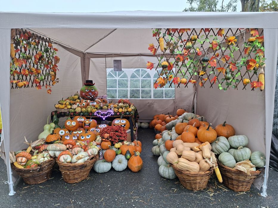 Dovleci decorativi si tărtăcuțe