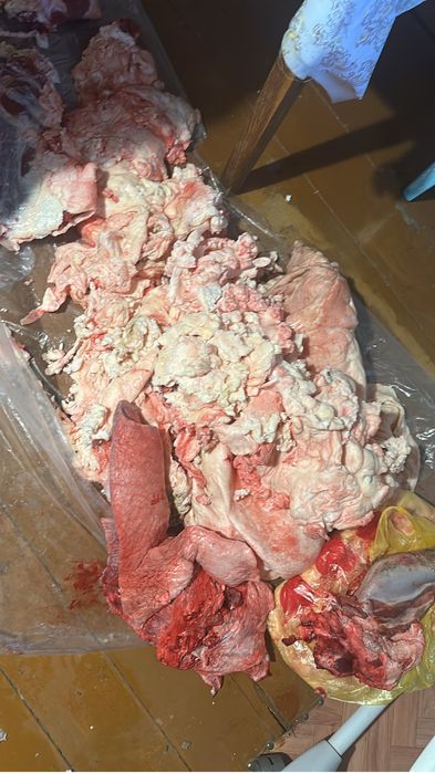 Продам жир говяжий