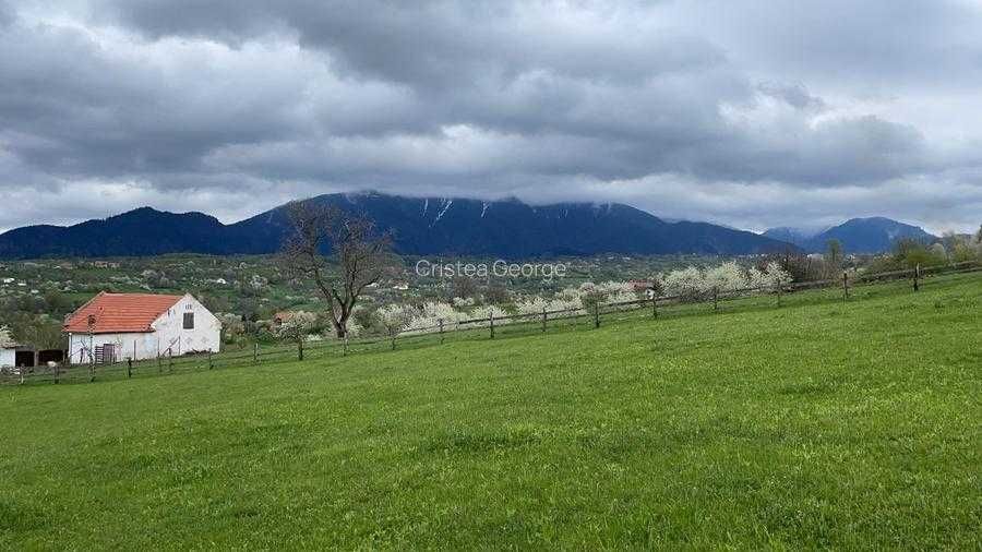 Teren deosebit în Sohodol – toate avantajele într-un singur loc